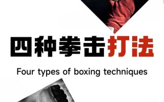 自学拳击视频教程全集能学会实战吗？