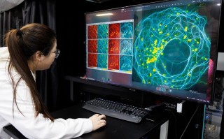 影像技术的职业发展机会