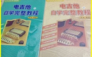 刘传电吉他自学教程如何上手？