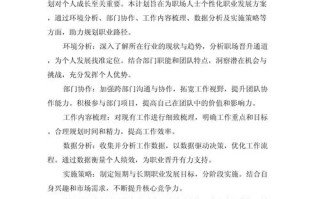 测绘职业发展策略怎么写？