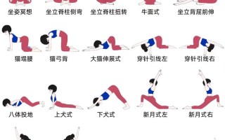 自学瑜伽比较好的教程