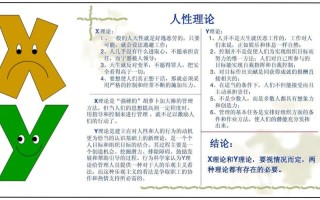 XY理论如何影响员工职业发展选择？