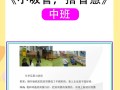 幼儿园探究课程案例如何有效开展？