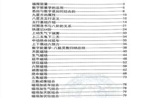 八星数字磁场自学课程真能学会吗？