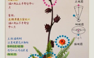 自学插花教程视频教程