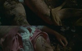 爱的课程手机在线播放哪里能看？