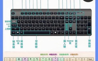 轻松自学键盘pdf哪里找？