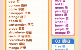 幼小衔接英语学前班上