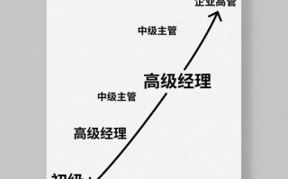 职业适应与发展如何协同助力职场成长？