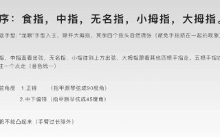 左轮吉他自学入门怎么学？