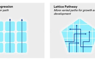 创业与职业发展案例能带来哪些启示？