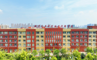 武汉学前教育大专学校有哪些选择？