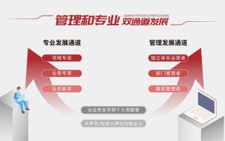 职业经理人市场发展面临哪些挑战？