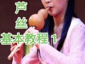 葫芦丝自学入门与提高，如何高效学？