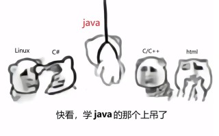 Java自学为何这么难？