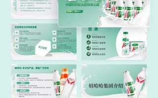 娃哈哈营销职业发展历程如何？