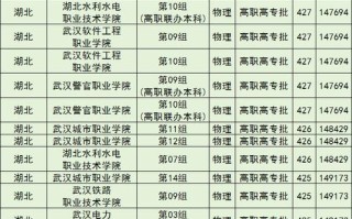 武汉有哪些学前教育大专院校？