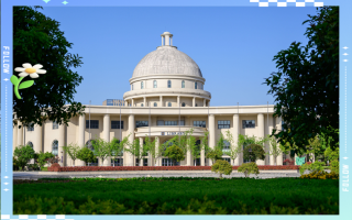 宁波外事学校学前国际有何特色？