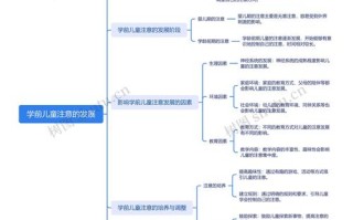 学前儿童思维发展有何规律？
