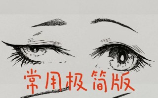 绘画基础入门教程自学