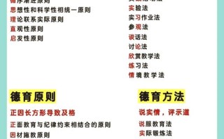 学前教育课程组织原则有哪些？