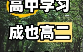 高中自学为何会害了自己？