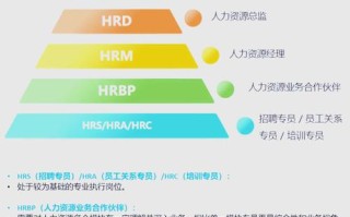 人力资源三年职业发展如何规划路径？