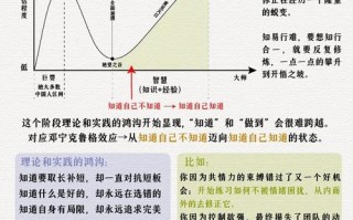 罗伯特职业生涯发展内容有哪些关键点？