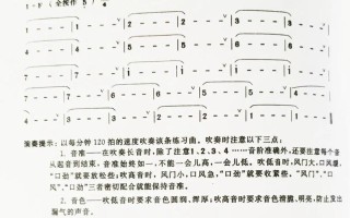 笛子自学视频教程怎么学才有效？