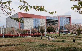 成都学前教育大专学校有哪些？