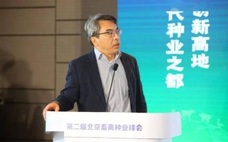 广东学前教育杨宁教授有何教育理念？