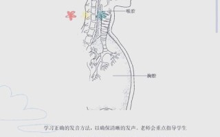 小学合唱团课程教什么？怎么学？