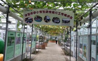 观光农业概论课程形成性考核册如何学？