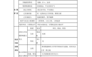 大学生职业发展规划表