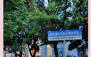 湖北师范学院学前教育如何？