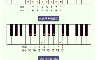 老年钢琴自学，入门教程该怎么选？