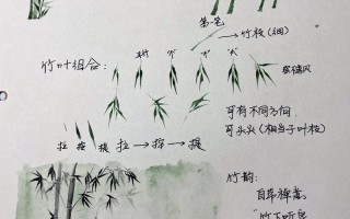 自学钢笔水彩视频，从入门到精通怎么学？