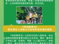 大连民办大学学前教育