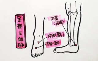 女性职业发展面临哪些关键挑战？