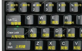 新手如何高效自学办公软件？