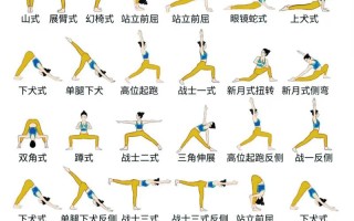 初级空中瑜伽课如何科学编排？