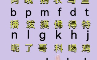 自学拼音视频教程，30字疑问标题，，如何自学拼音视频教程？关键在哪？