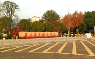 重庆商务职业学院发展史