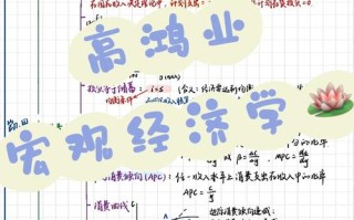 大学生自学经济学，如何高效入门并学以致用？