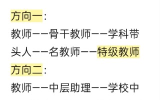 教师职业发展四阶段具体指哪四阶段？