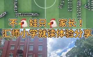 上海徐汇区学前教育网提供哪些服务？