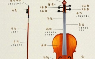 娜木拉大提琴自学教程真的能学会吗？