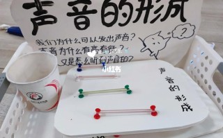 学前班科学区材料如何投放更有效？