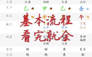 八字自学视频教程全集哪里找？