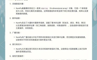 Python课程设计报告如何高效完成？